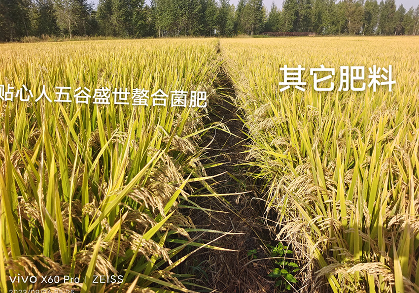 用户反馈