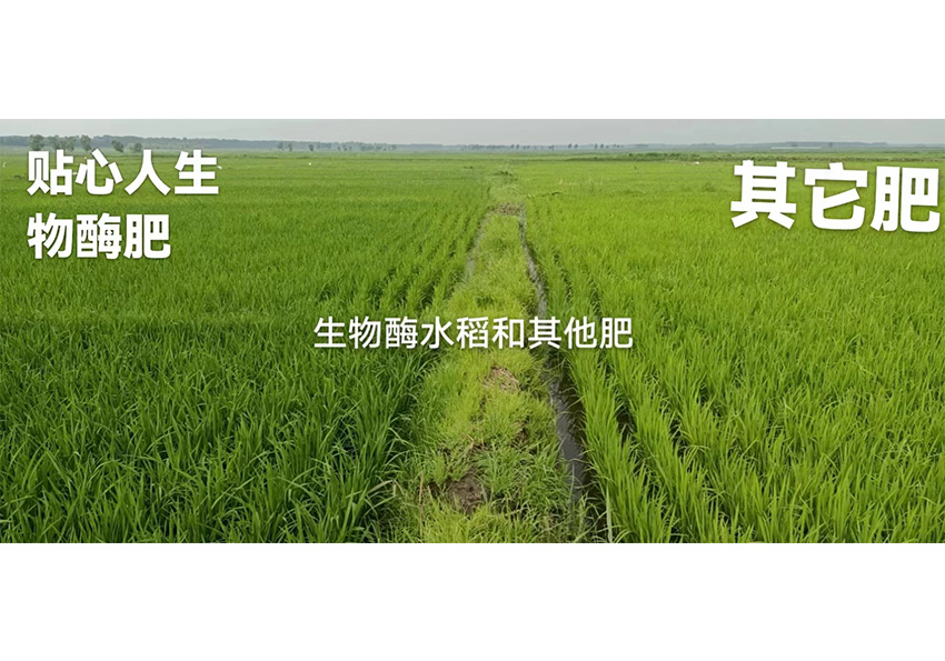 用户反馈