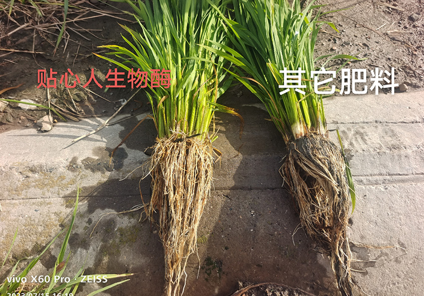 用户反馈