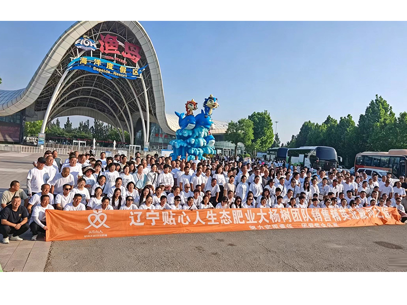 团队成员