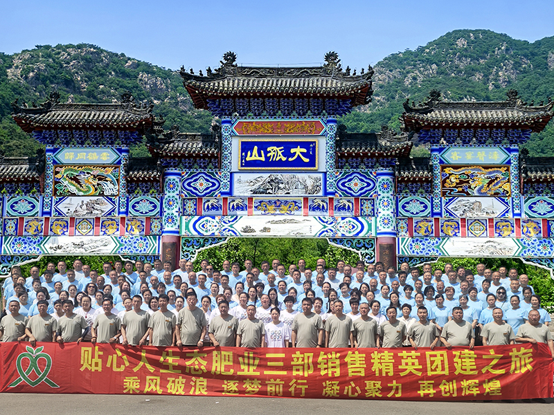 团队成员